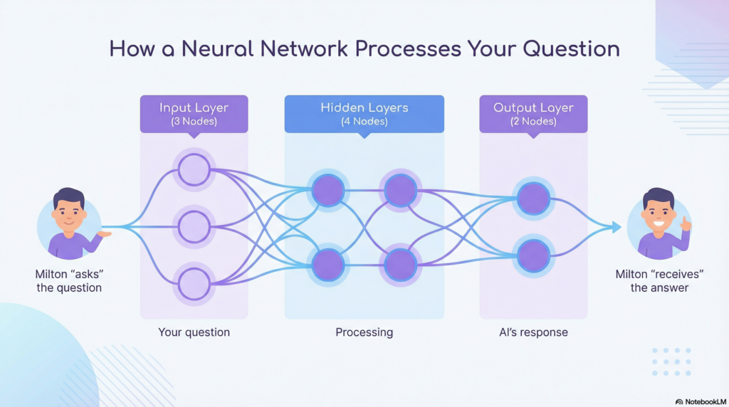 How Neural Networks Process Questions